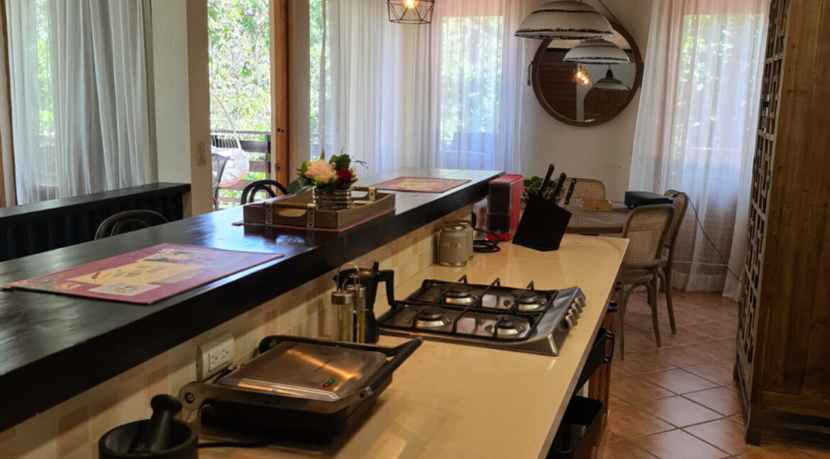 InShot_20241209_182409432